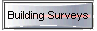 Building Surveys