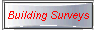 Building Surveys