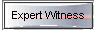 Expert Witness