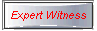 Expert Witness